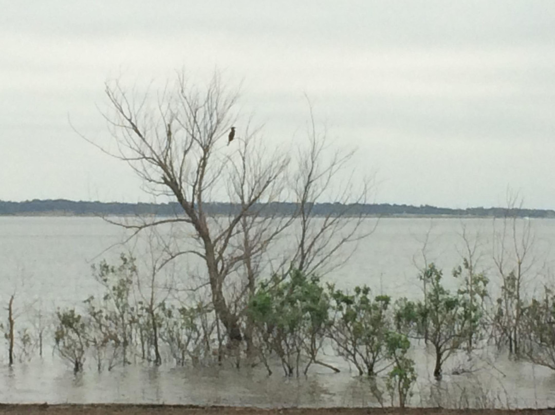 Meadowmere Park-葡萄藤必去景点