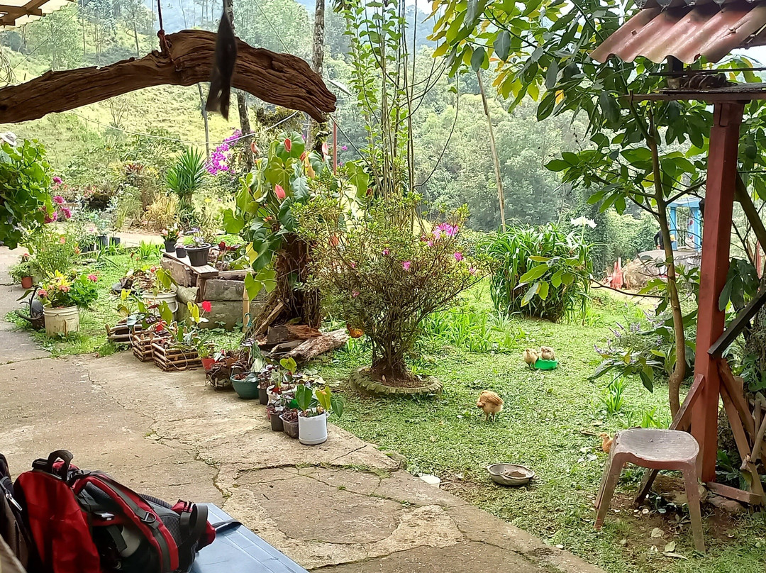 El Camino de Los Farallones de Cali-卡利必去景点