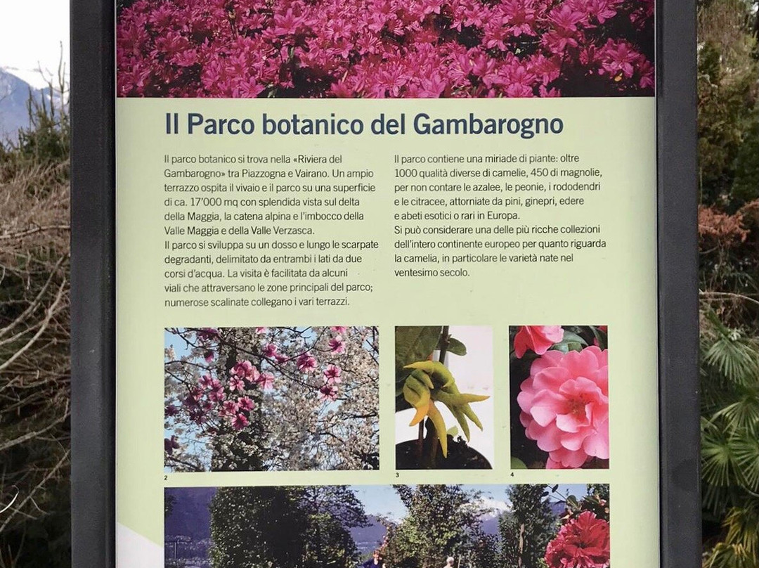 San Nazzaro旅游攻略图片