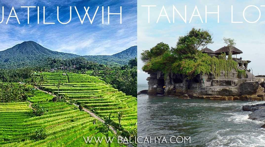 Bali Cahya Tour-吉安雅必去景点