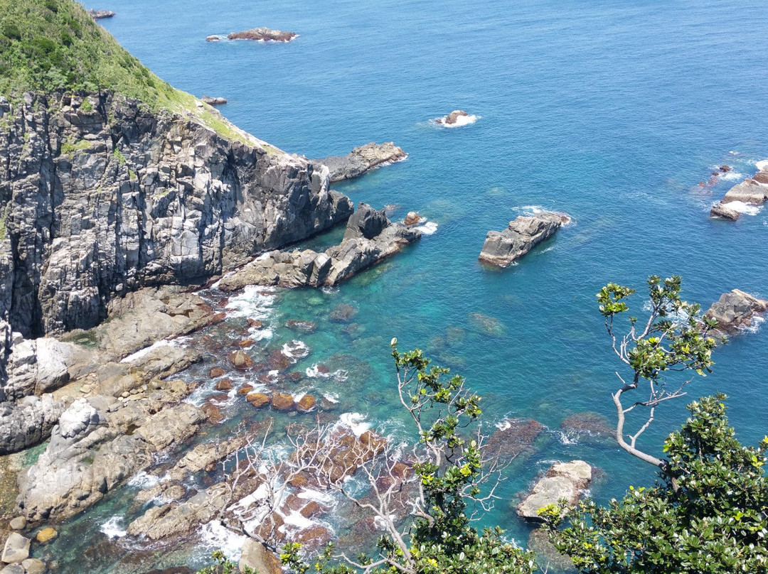 Cape Ashizuri景点图片