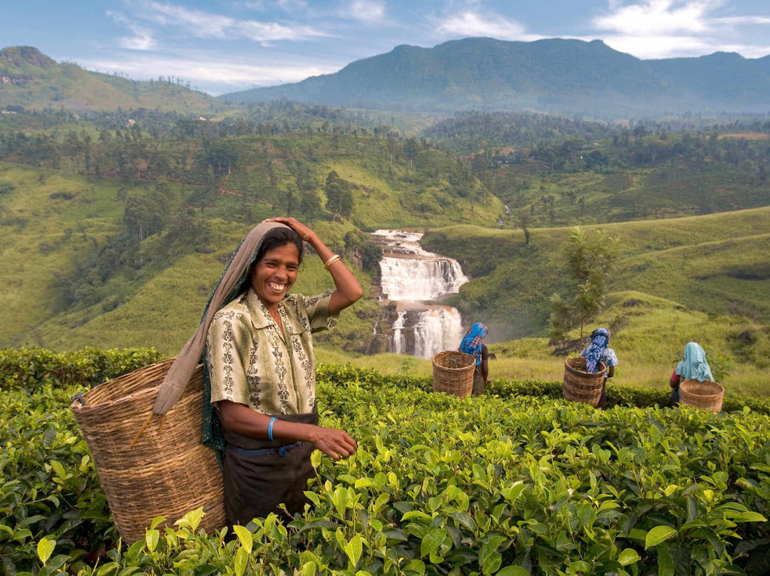 Sri Lanka Voyage-卡卢特勒必去景点