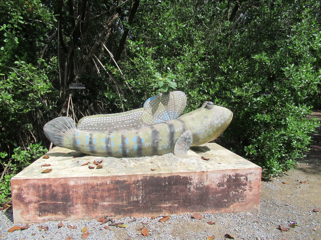 Ao Mahachai Mangrove Forest Natural Education Center