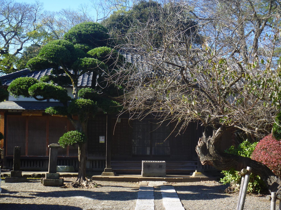 Reinan-ji Temple景点图片