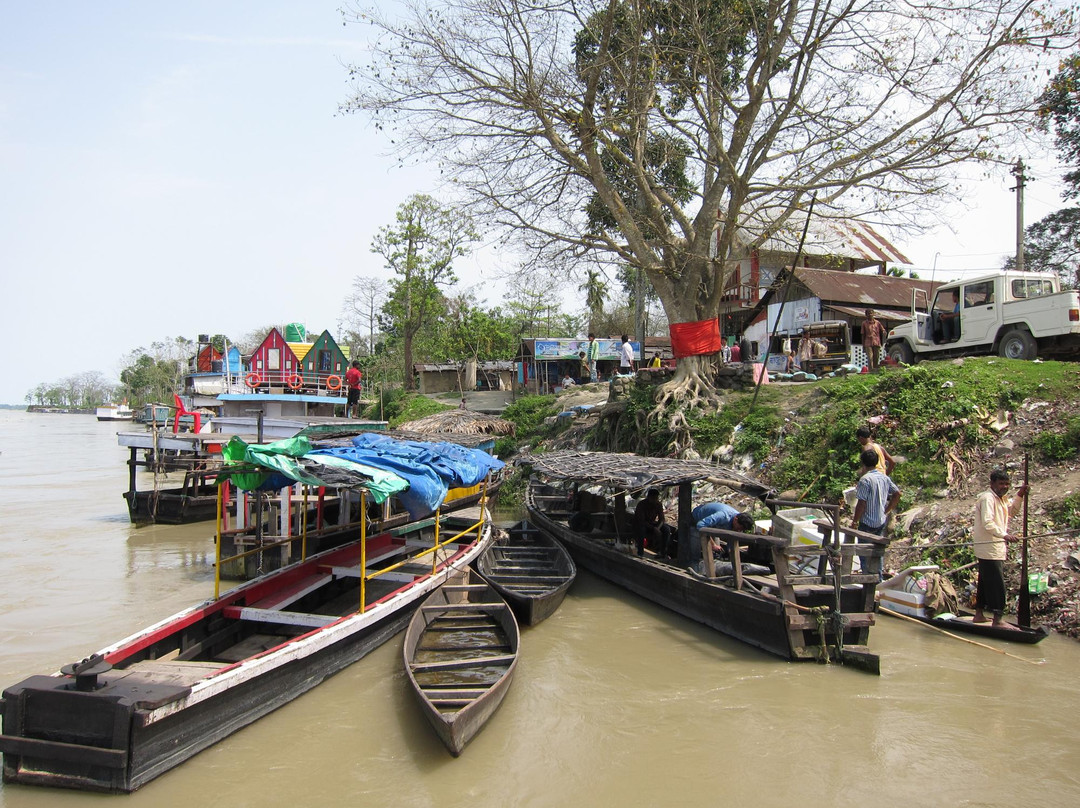 Dibru Saikhowa National Park景点图片