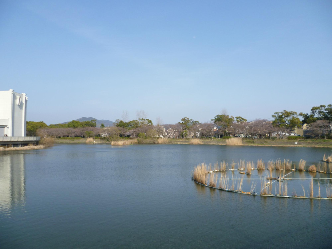 Mukaiyama Park景点图片