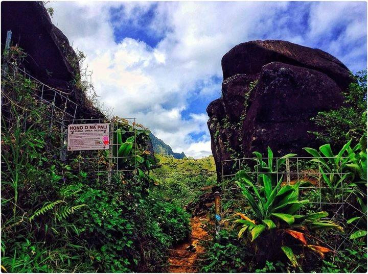 Hono'Onapali Natural Reserve Area