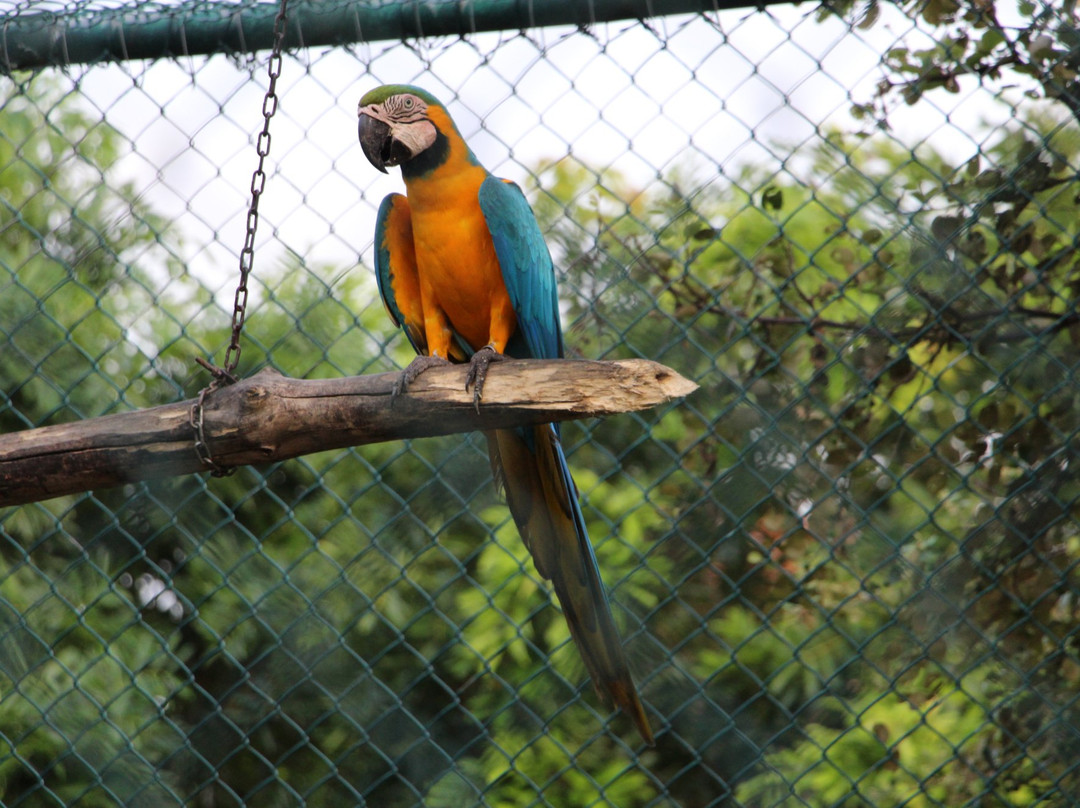 Birds Research Center & Resort景点图片