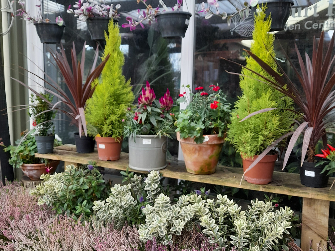 Court Farm Garden Centre
