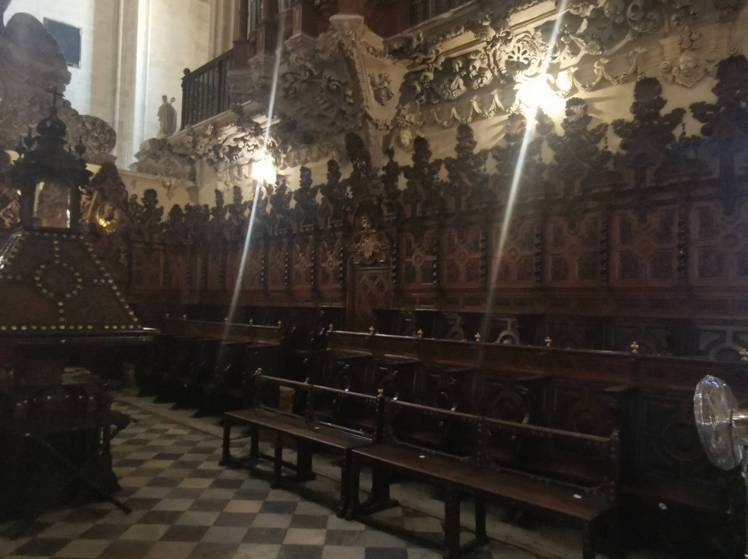 Coro De La Basílica.景点图片