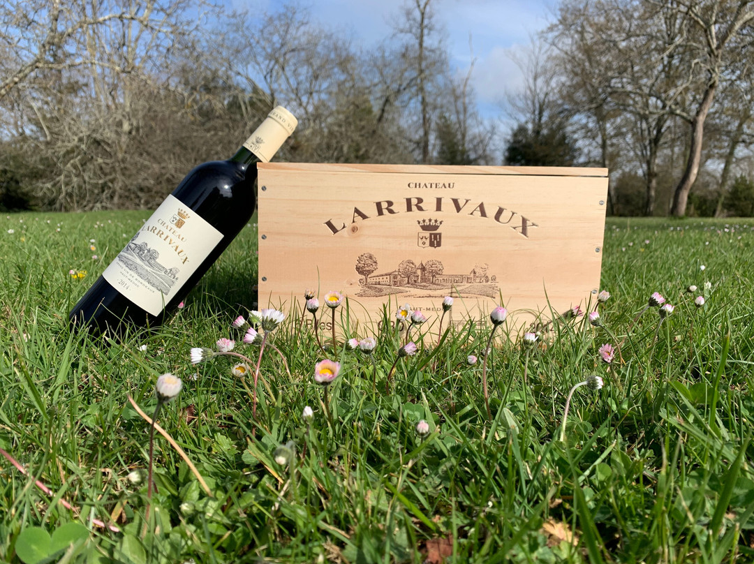 Chateau Larrivaux