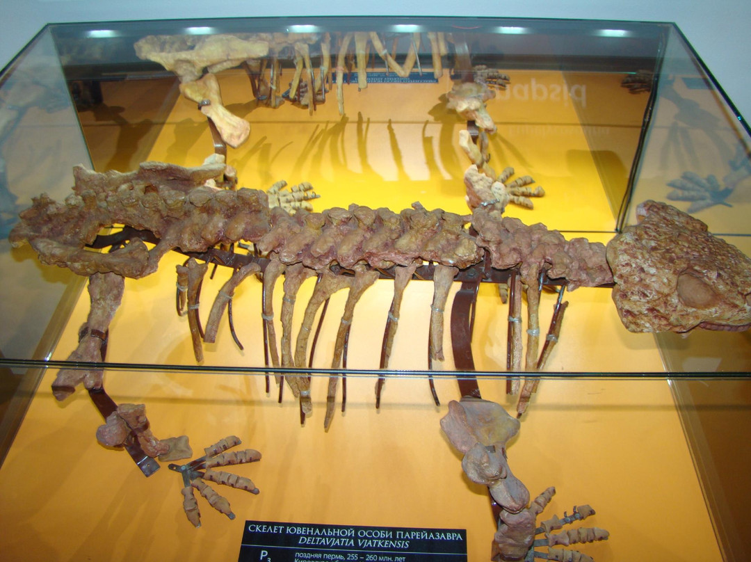 Vyatka Museum of Paleontology-基洛夫必去景点