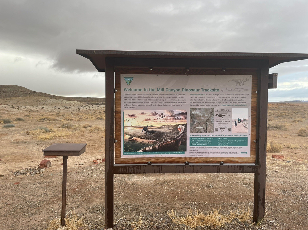 Mill Canyon Dinosaur Trail-莫阿布必去景点