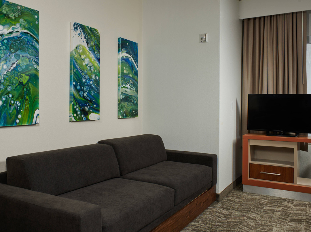 SpringHill Suites by Marriott Baton Rouge North/Airport主图