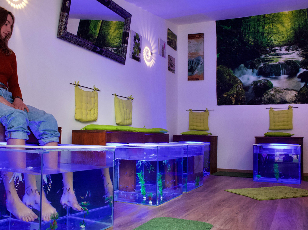 Fish Massage Villeveyrac-Villeveyrac必去景点