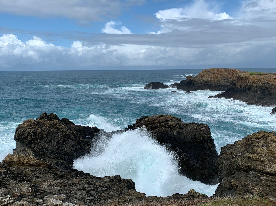 Mendocino Headlands State Park景点图片