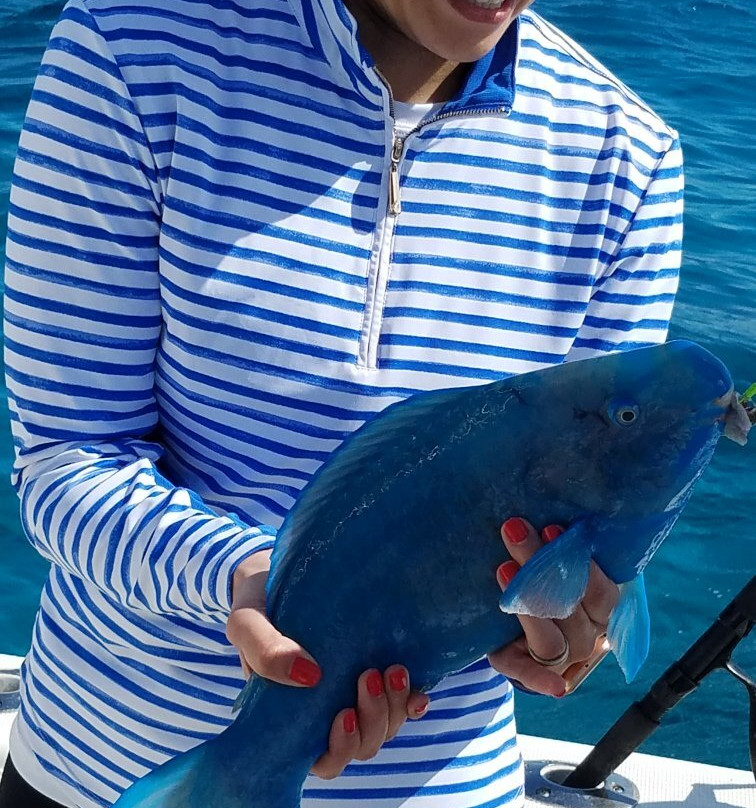 Captain J Fishing Charters-Tavernier必去景点