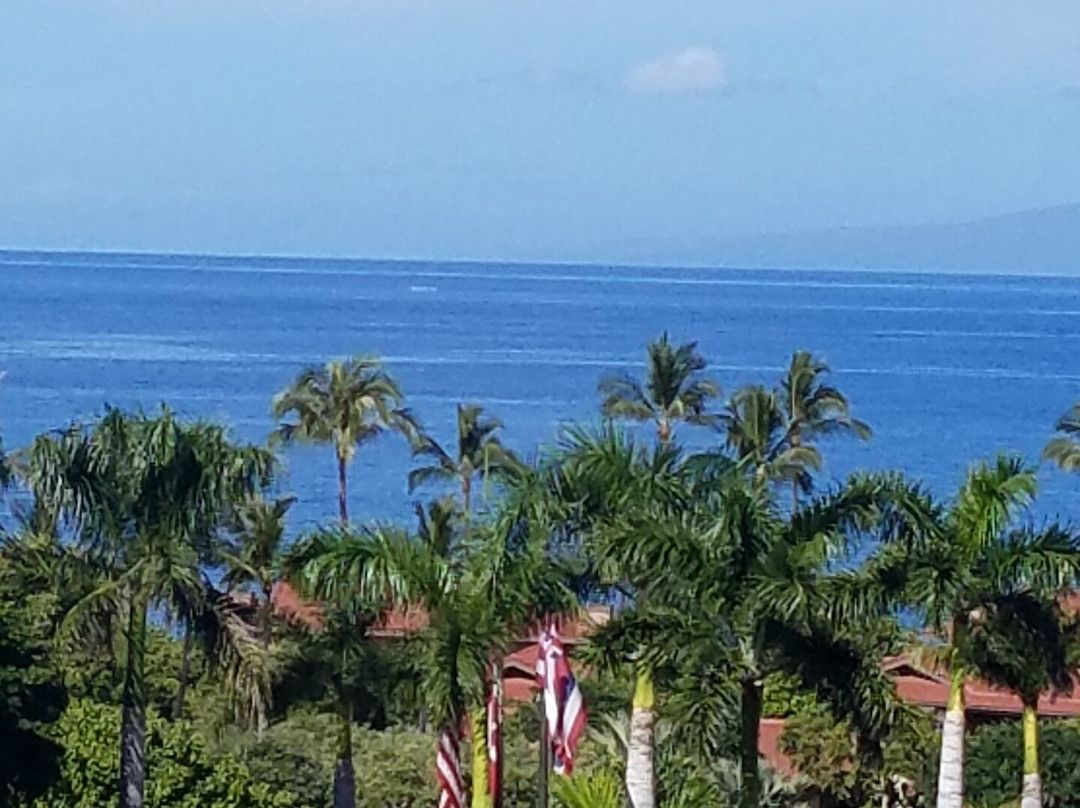 茂宜岛维雷亚四季酒店主图