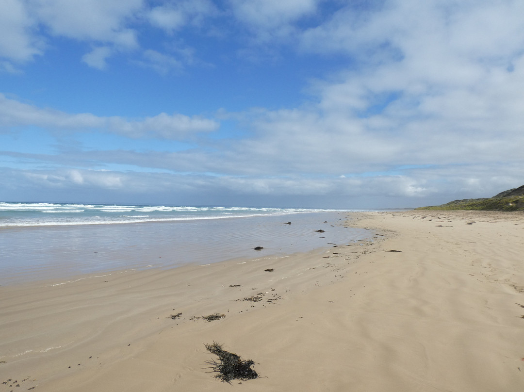Cotters Beach景点图片