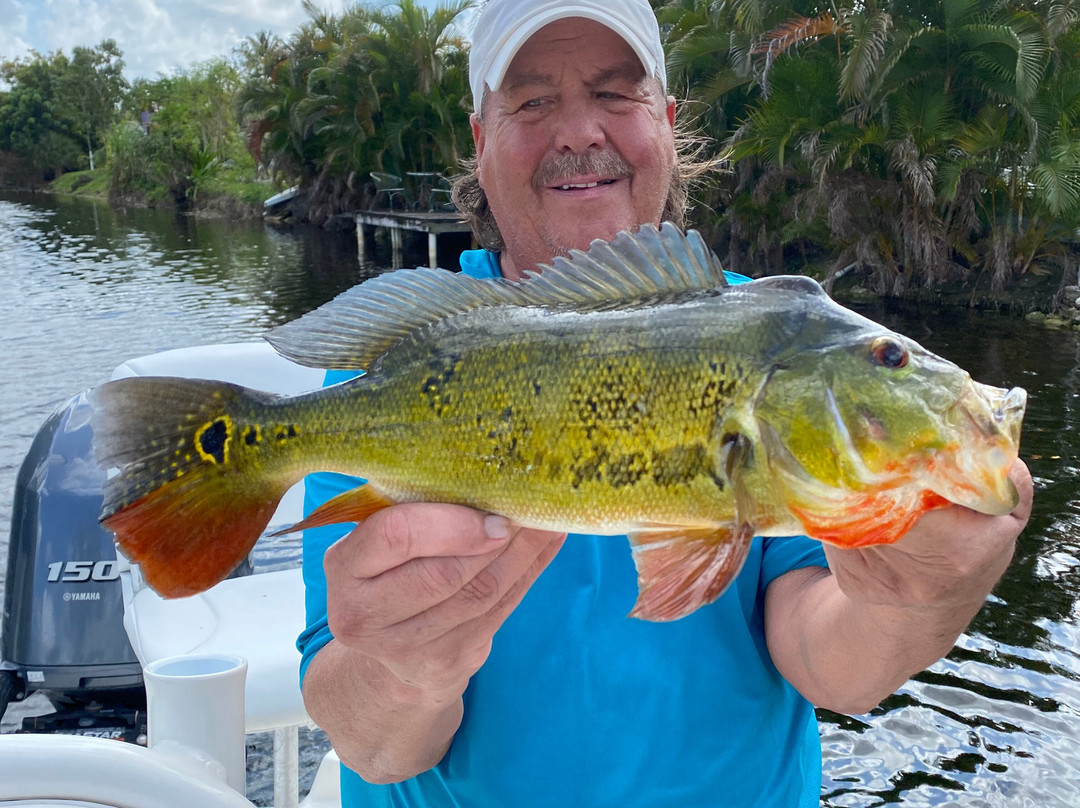 Naples Florida Fishing Charters-那不勒斯必去景点