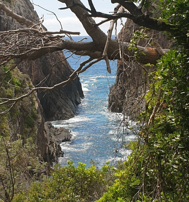 Seal Rocks Lighthouse-海豹岩必去景点