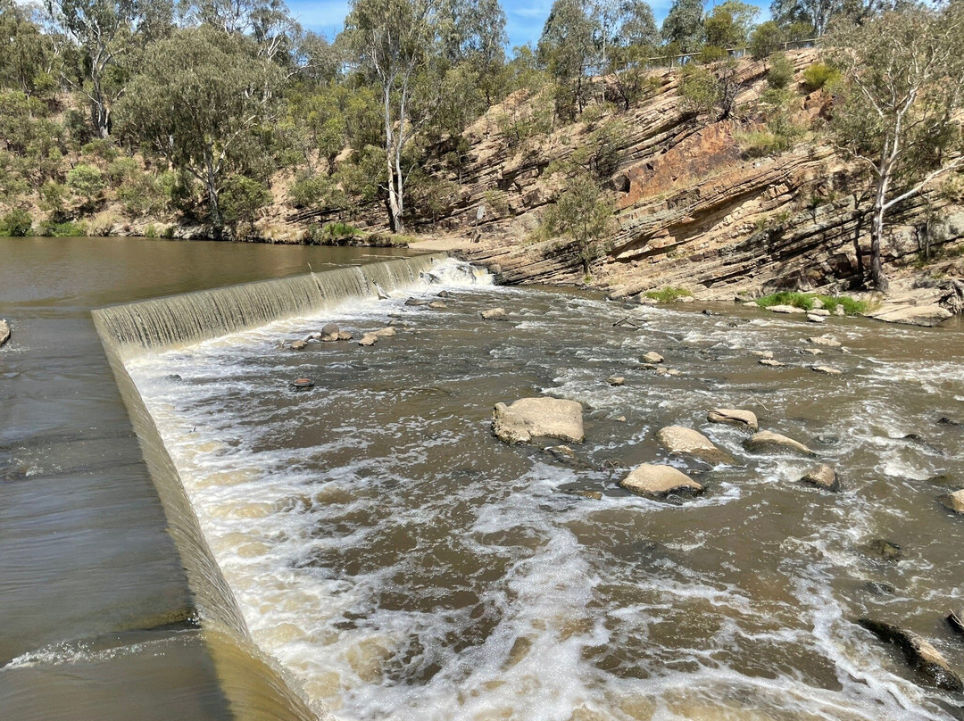 Dight's Falls Reserve景点图片