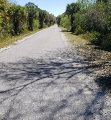 Ride and Paddle By Siesta Sports Rentals-西耶斯塔岛必去景点