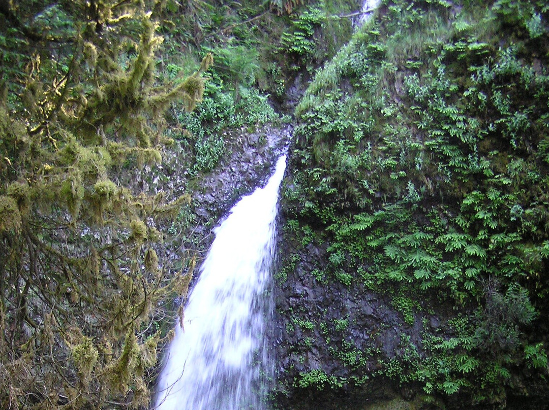 Waterfall Trolley-Corbett必去景点