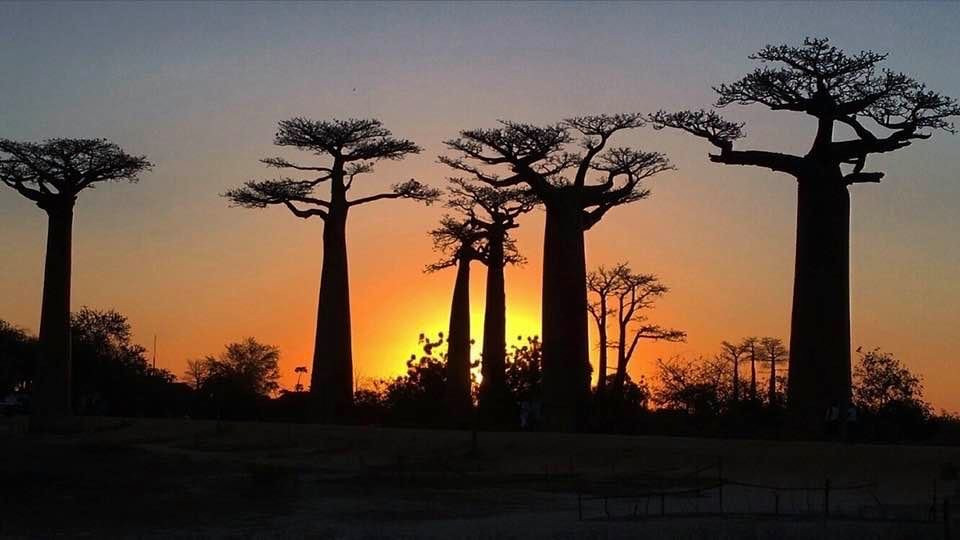 Madagascar Green Tours-安齐拉贝必去景点