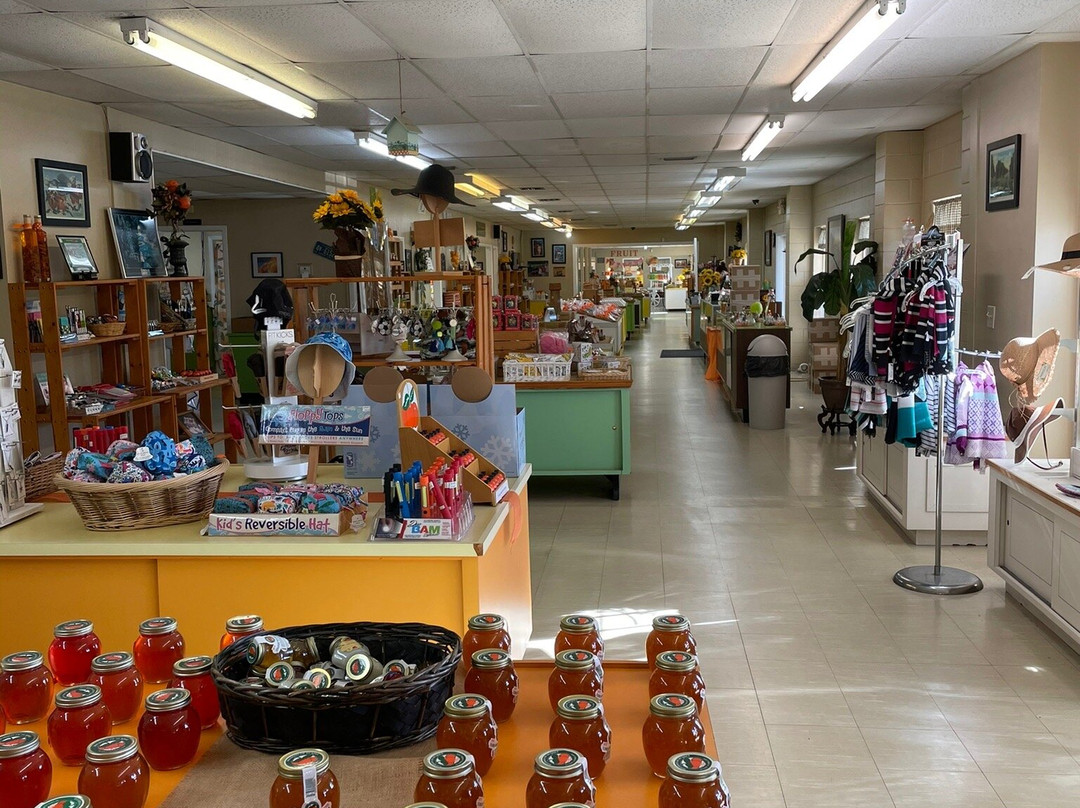 Davidson of Dundee Citrus and Candy Factory-Dundee必去景点