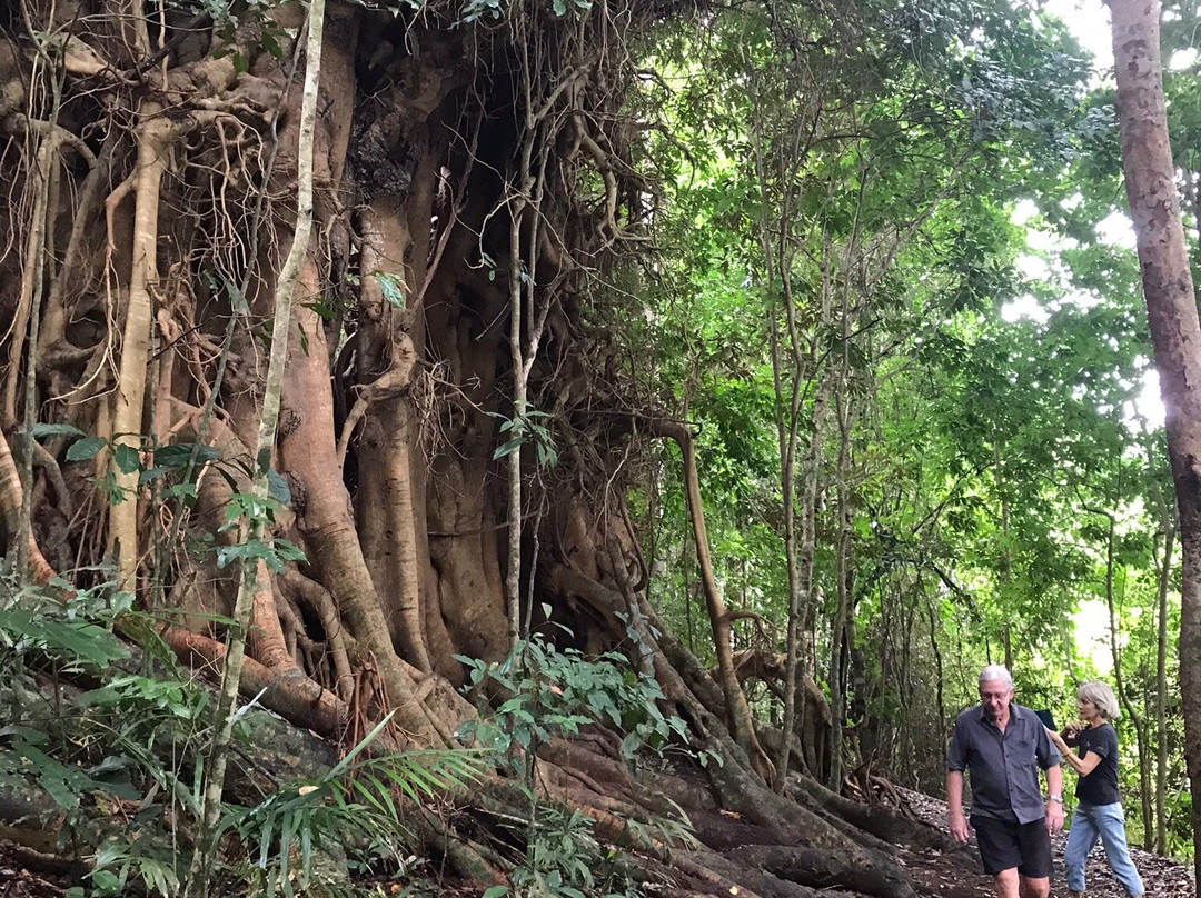 Lake Eacham Crater Lakes National Park-Lake Eacham必去景点