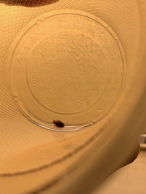 Holiday Inn Express Madison By IHG主图