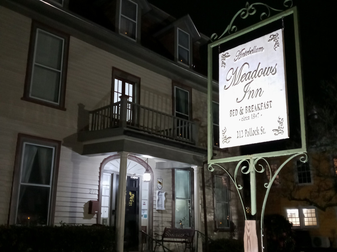 Meadows Inn Bed & Breakfast主图