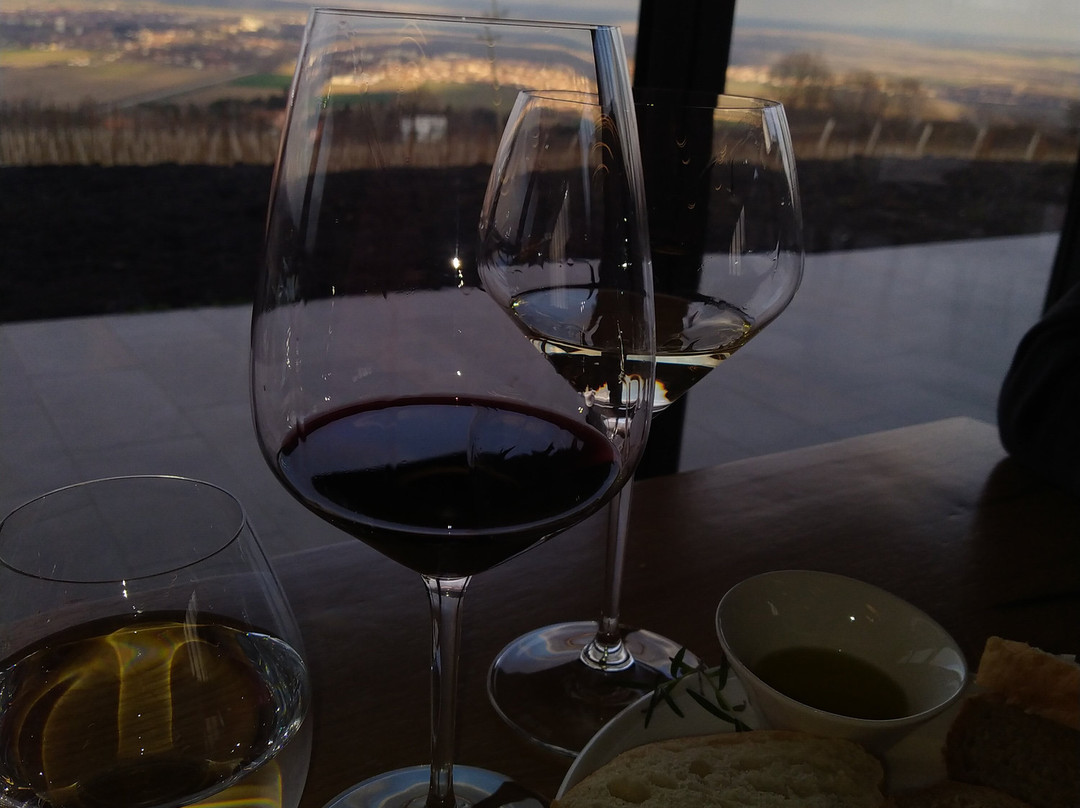 Matalj Winery-Negotin必去景点