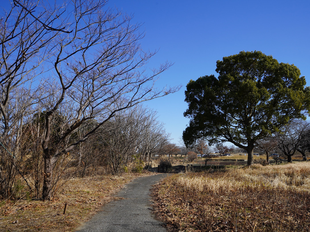 Gunma Suigo Park景点图片