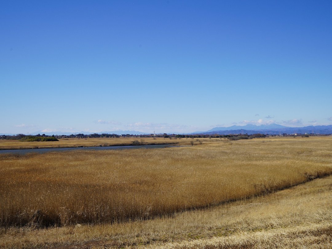 Watarase Yusuichi-野木町必去景点