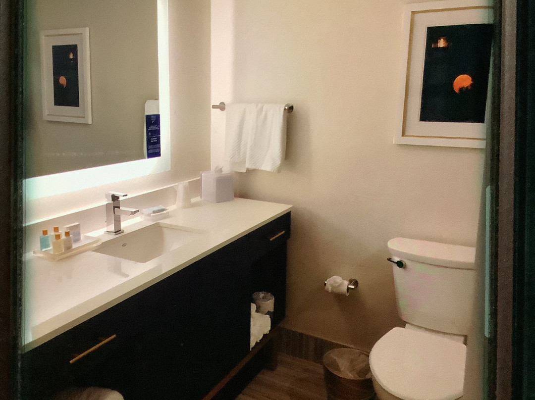 Fenwick Shores, Tapestry Collection by Hilton主图