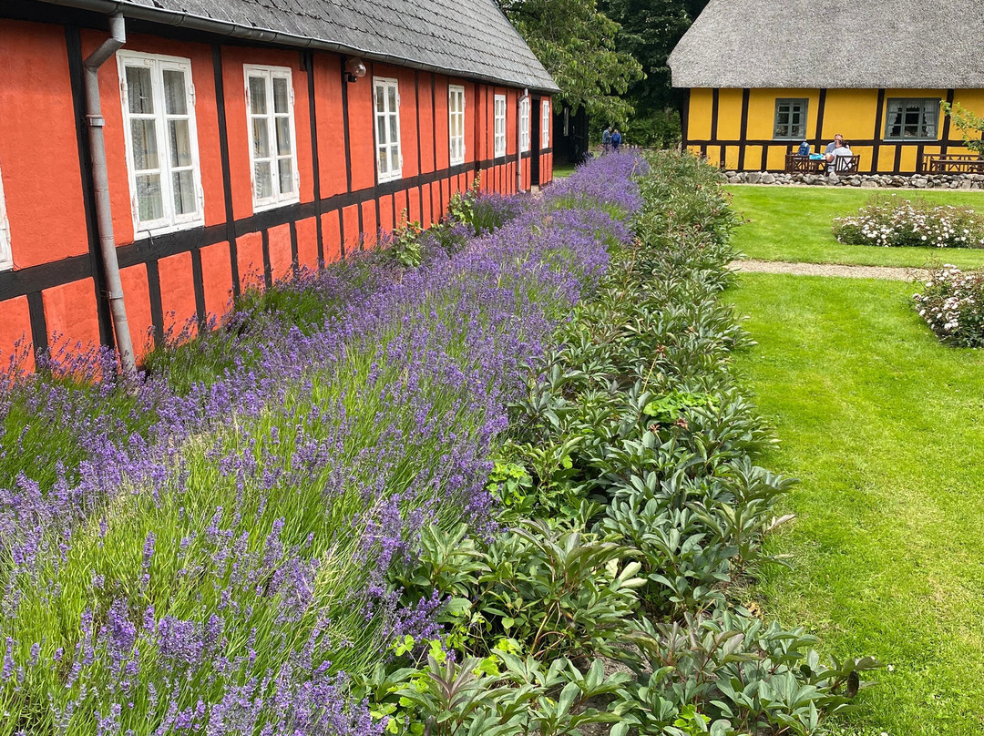 Hjortsvang Museum-Toerring必去景点