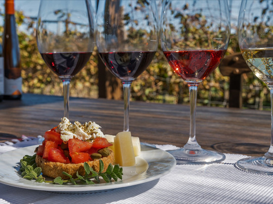 Areti Valtadorou Oinos Exerience