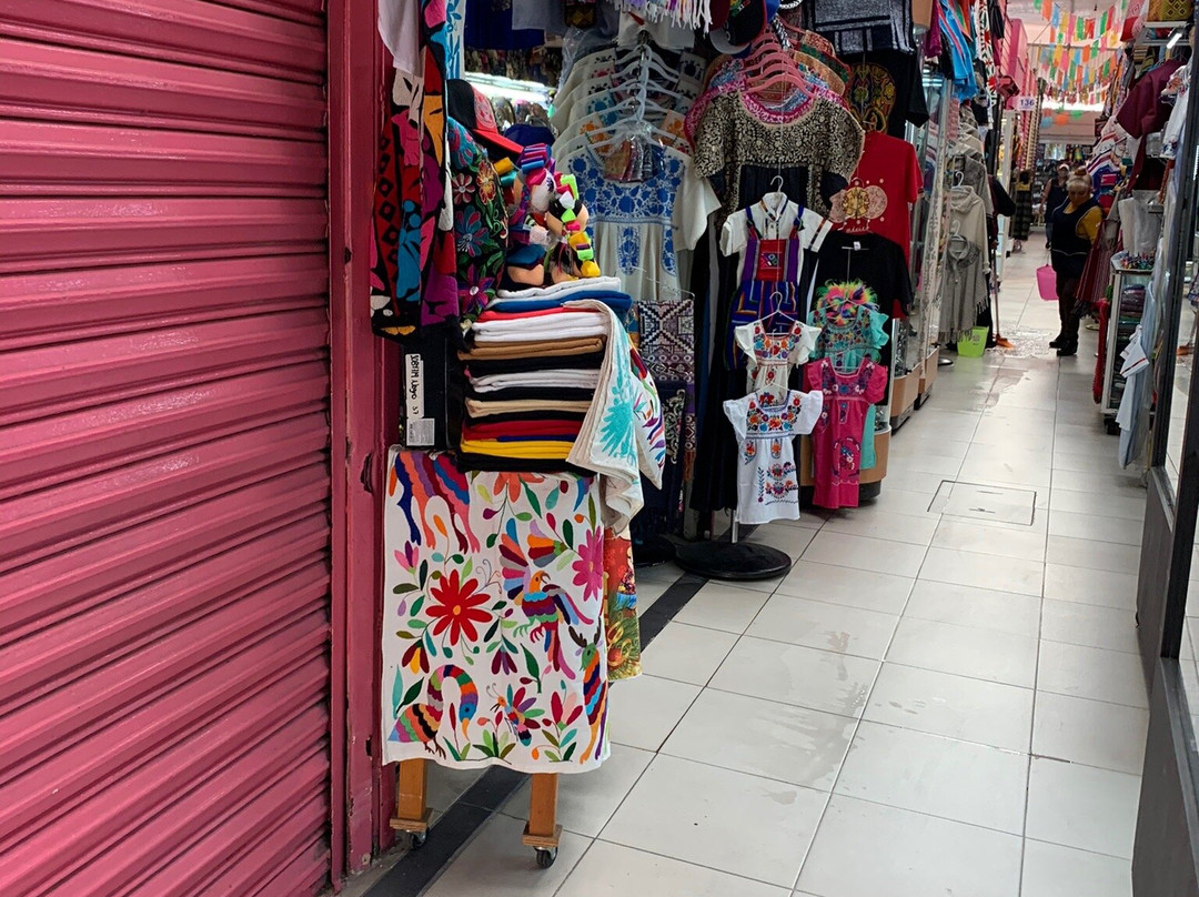 Mercado de Artesanias Zona Rosa-墨西哥城必去景点