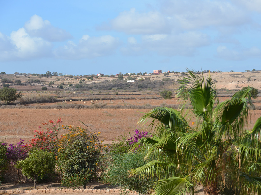 Domaine Argania主图