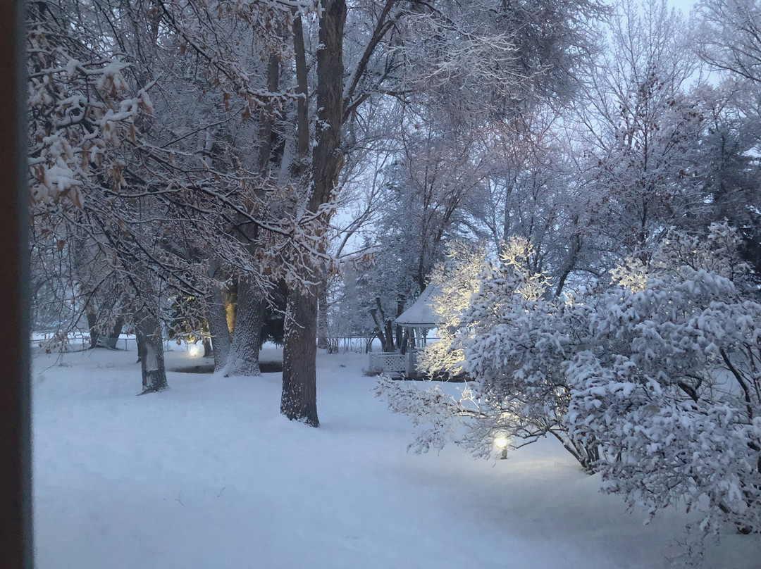 Homestead Resort主图