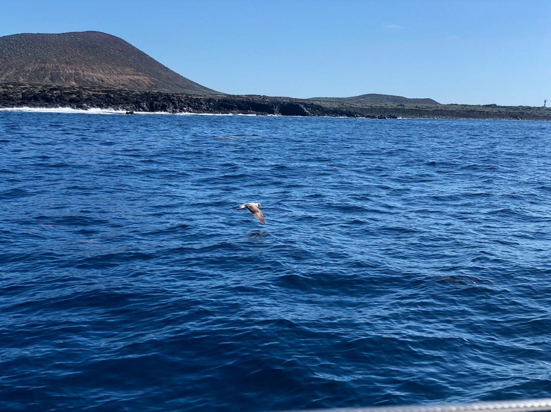 Sailor Excursions Madoudou Tenerife景点图片
