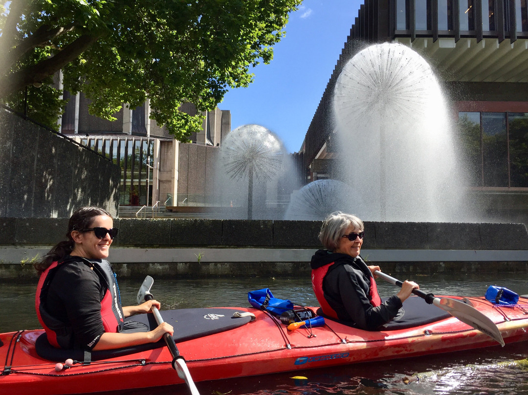 Christchurch Sea Kayaking-基督城必去景点