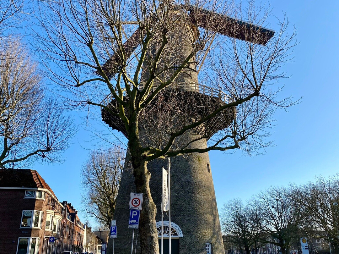 Schiedam Windmills景点图片