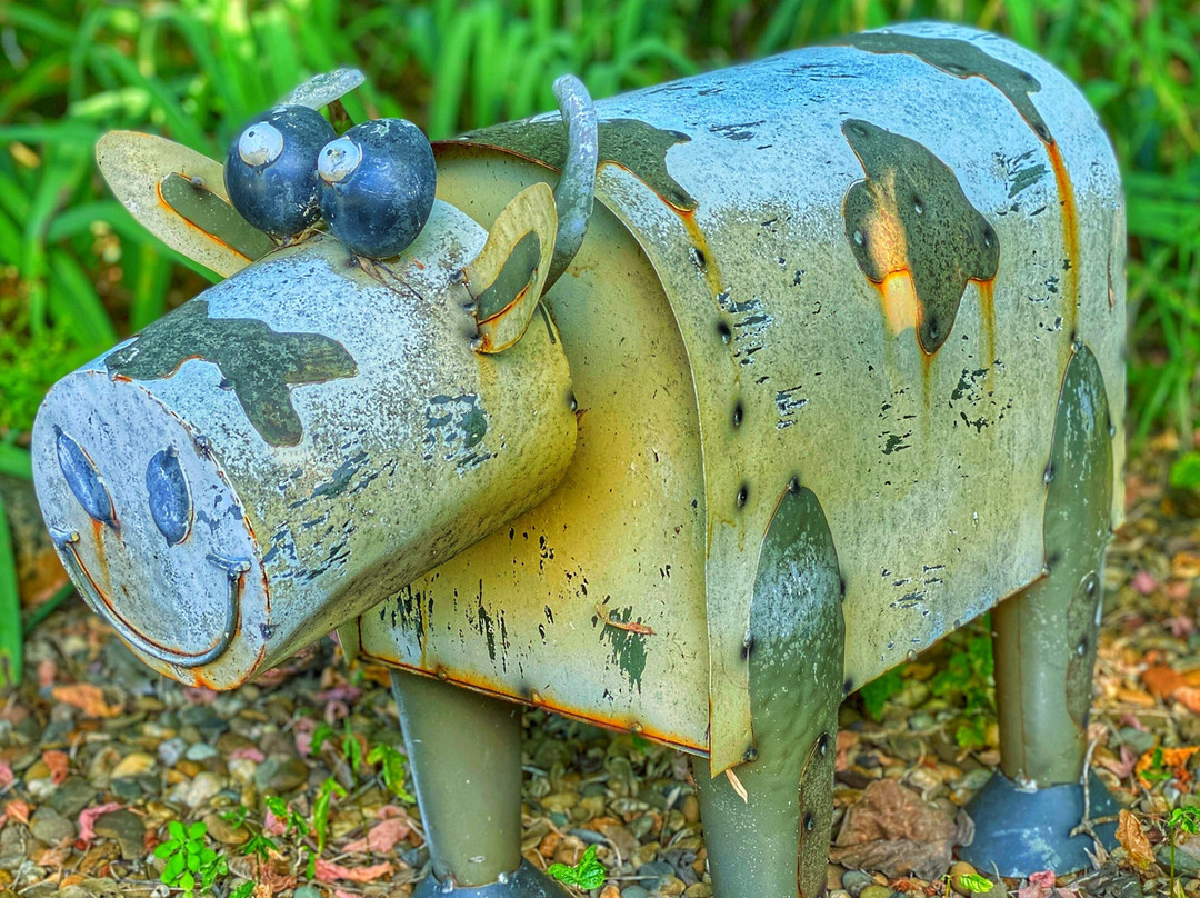 Buffalo Motel and Country Retreat主图