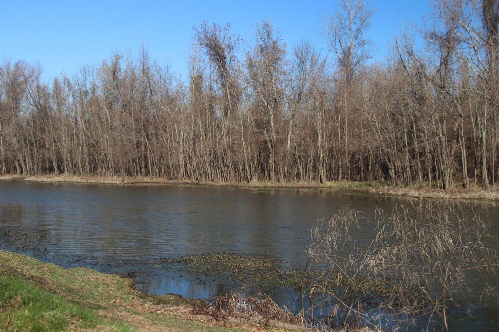 Two Rivers Park-小石城必去景点