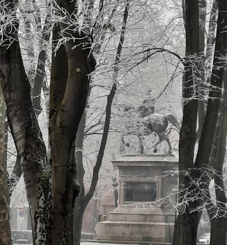 Statua Manfredo Fanti景点图片