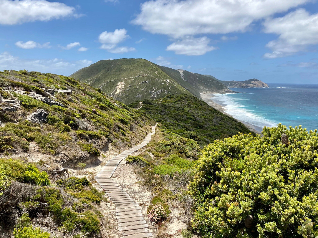 Bald Head Walk Trail-奥尔巴尼必去景点
