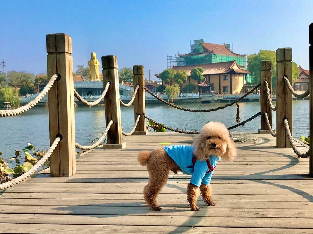 邵伯古镇景点图片